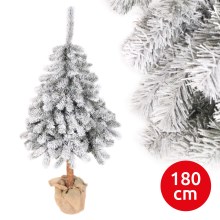Christmas tree PIN 180 cm fir