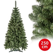 Christmas tree POLA 250 cm pine