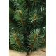 Christmas tree XMAS TREES 50 cm pine