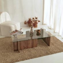 Coffee table ESCAPE 30x105 cm brown/clear