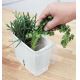Cole&Mason - Container for storing freshly cut herbs