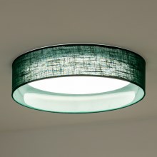 Duolla - LED Ceiling light ROLLER LED/24W/230V green