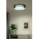 Duolla - LED Ceiling light ROLLER LED/24W/230V green
