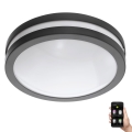 Eglo 33571 - LED Dimmable bathroom light LOCANA-C LED/14W/230V IP44 black