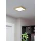 Eglo - LED Ceiling light LED/17W/230V