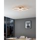 Eglo - LED Dimmable ceiling light LED/42W/230V