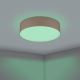 Eglo - LED RGBW Dimmable ceiling light LED/35W/230V 2700-6500K brown