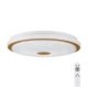 Eglo - LED Dimmable ceiling light LED/24W/230V + remote control