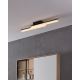 Eglo - LED Bathroom ceiling light 2xLED/11W/230V IP44
