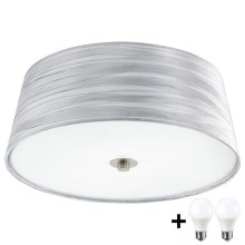 Eglo 94306- LED Ceiling light FONSEA 1 2xE27/9W/230V silver