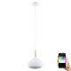 Eglo 97087 - LED RGBW Dimmable pendant light COMBA-C 1xLED/18W/230V