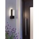 Eglo - LED Outdoor wall light 2xLED/5W/230V IP44