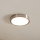 Eglo - LED Ceiling light LED/16,5W/230V