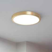 Eglo - LED Ceiling light LED/20,5W/230V d. 28,5 cm
