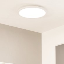 Eglo - LED Dimmable ceiling light LED/33,5W/230V d. 45 cm white