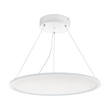 Eglo - LED Dimming Chandelier on a string 1xLED/36W/230V