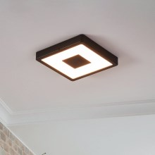 Eglo - LED Outdoor ceiling light LED/17W/230V IP44 black