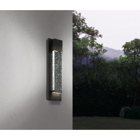 Eglo - LED Outdoor wall light 2xLED/3,3W/230V IP44