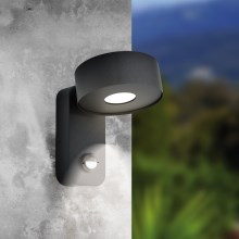 Eglo - LED Outdoor wall light with sensor LED/6W/230V IP44