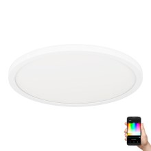 Eglo - LED RGBW Dimmable ceiling light LED/14,6W/230V white ZigBee