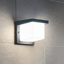 Eglo - Outdoor wall light LED/10W/230V IP54