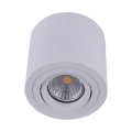 Emithor 48606 - Ceiling spotlight SURFACE 1xGU10/50W/230V
