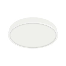 Emithor 49035 - LED Bathroom ceiling light LENYS LED/12W/230V IP44