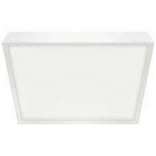 Emithor 49041 - LED Bathroom ceiling light LENYS LED/24W/230V IP44