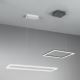 Fabas Luce 3394-43-102 - LED Dimmable chandelier on a string BARD LED/52W/230V 4000K white