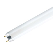 Fluorescent tube G13/36W/230V 6500K 120 cm