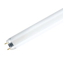Fluorescent tube G13/58W/230V 6500K 150 cm