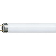 Fluorescent tube Philips G13/58,5W/230V 151,42 cm