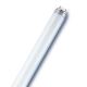 Fluorescent tube T8 G13/18W/230V 6500K 60 cm