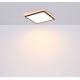 Globo - LED Dimmable bathroom ceiling light LED/18W/230V 29,4x29,4 cm IP44 black