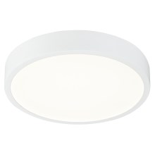 Globo - LED Dimmable ceiling light LED/22W/230V