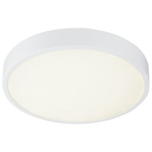 Globo - LED Dimmable ceiling light LED/28W/230V