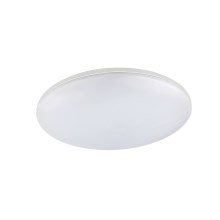 Globo - LED Outdoor ceiling light 1xLED/24W/230V IP54