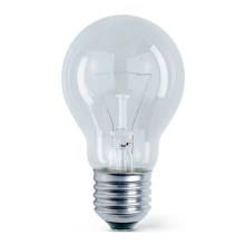 Heavy-duty bulb E27/75W/230V 2700K