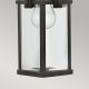 Hinkley - Outdoor chandelier on a chain MANHATTAN 1xE27/100W/230V IP23 black