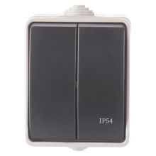 Home serial switch 250V/10A IP54