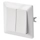 Home wall switch double alternating 250V/10A