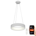 Immax NEO 07020L - LED Chandelier on a string with a remote controller AGUJERO LED/30W/230V Tuya