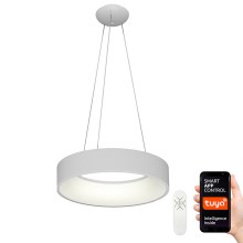 Immax NEO 07022L - LED Chandelier on a string with remote controller AGUJERO LED/39W/230V Tuya