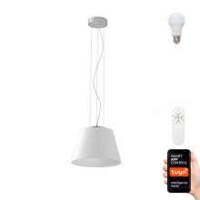 Immax NEO 07053L - LED RGB Dimmable chandelier on a string CONO 1xE27/8,5W/230V 32 cm Tuya