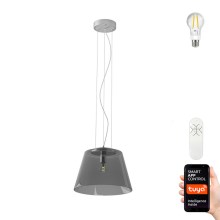 Immax NEO 07054L - LED Dimmable chandelier on a string CONO 1xE27/8,5W/230V 32 cm Tuya