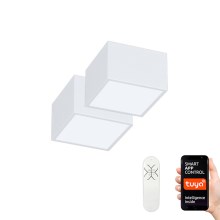 Immax Neo 07072L-15BD - Set 2x LED Dimmable ceiling light CANTO 2xLED/12W/230V + remote control Tuya