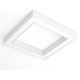 Immax NEO 07072L - LED Dimmable ceiling light CANTO LED/60W/230V 80x80 cm Tuya + remote control
