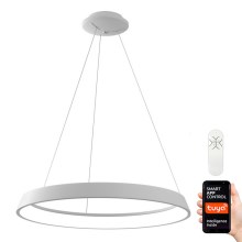 Immax NEO 07079L - LED Dimmable chandelier on a string LIMITADO LED/39W/230V 60 cm+RC Tuya