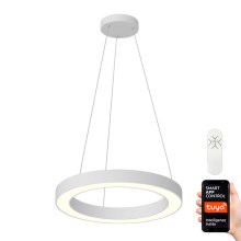 Immax NEO 07091L - LED Dimmable chandelier on a string PASTEL LED/52W/230V 60 cm white Tuya