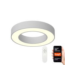 Immax NEO 07095L - LED Dimmable ceiling light PASTEL LED/52W/230V 60 cm Tuya